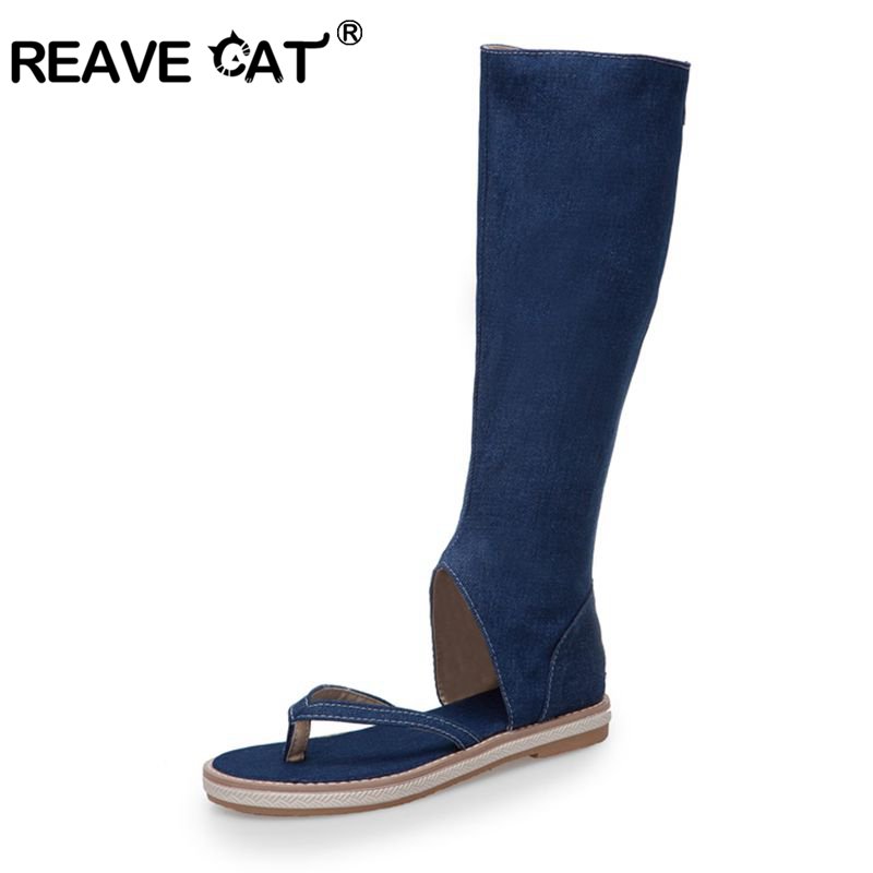 Summer Cloth - REAVE CAT shoes clip toe sandals