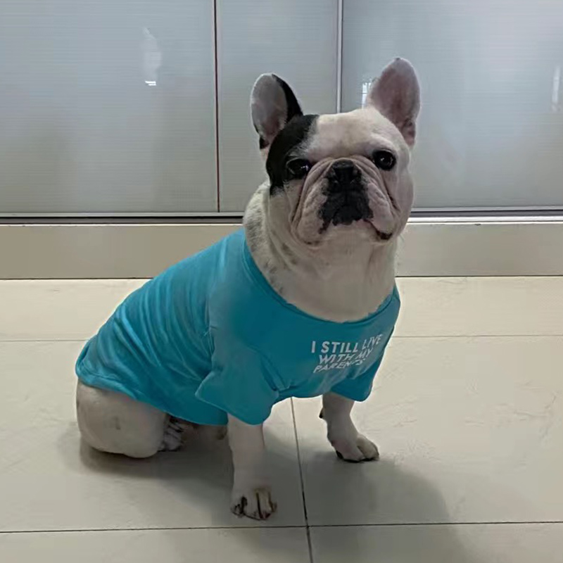 Fashion French Bulldog Pug Ves - Summer Clothing In French ulasan dan harga