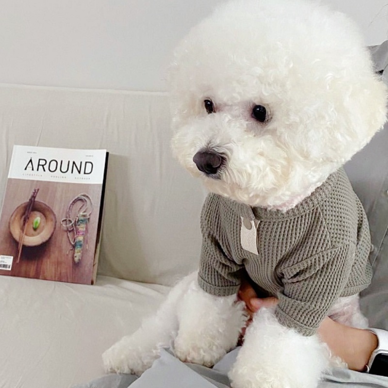 Summer Pet Shirt Solid Dog T-S - Summer Clothing In French ulasan dan harga